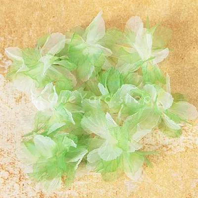 Apple Green Apple Green