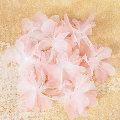 Baby Pink Baby Pink