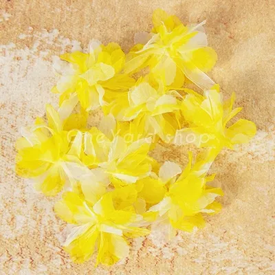 Yellow Yellow
